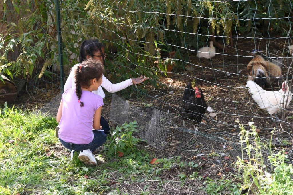 Deuxième journée diocésaine de l'écologie intégrale