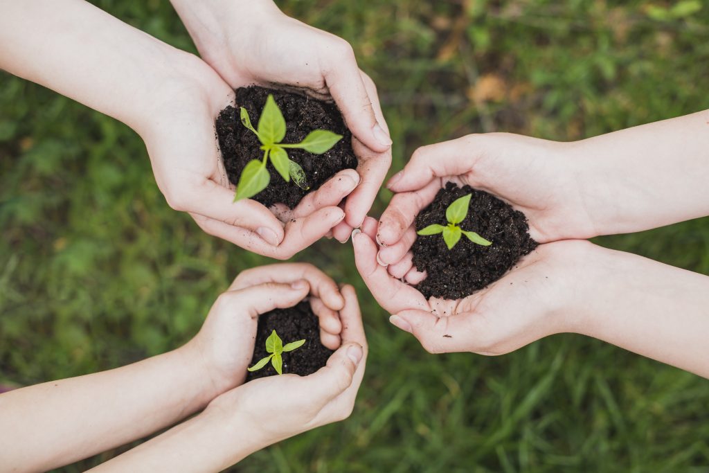 Dix pistes pour avancer sur : L’écologie, nouvel horizon de l’Église