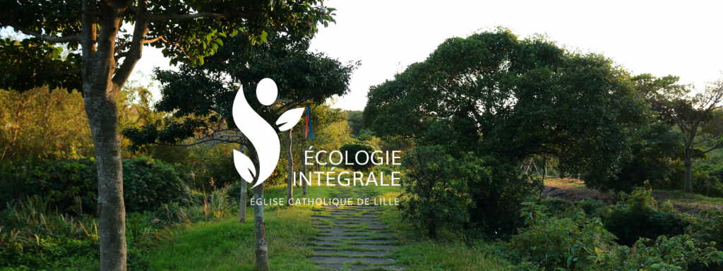 Ecologie intégrale, la Newsletter