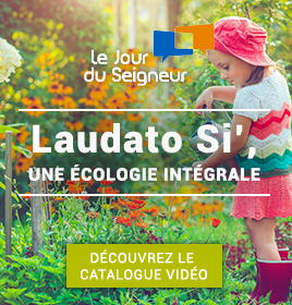ctalaudato.png