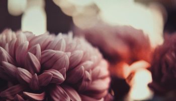 peter-oswald-167649-unsplash