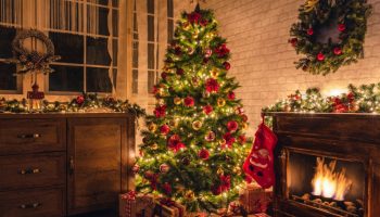 recycler-jeter-sapin-noel-dchets