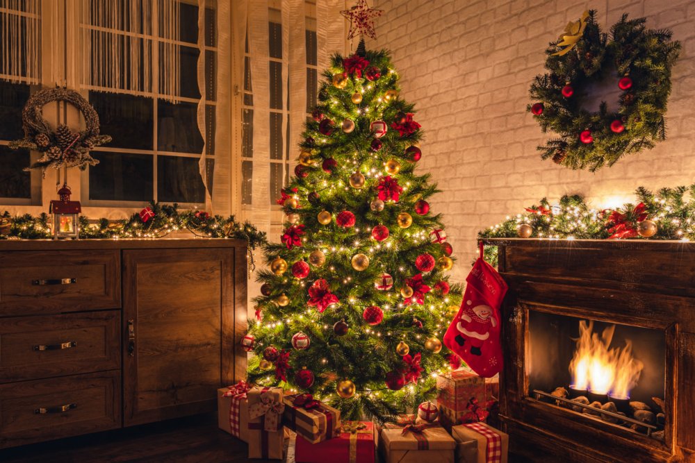 recycler-jeter-sapin-noel-dchets