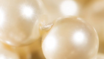 Capture d’écran 2020-07-27 à 09.16.12