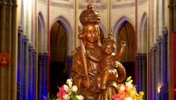 15 août 2019 cathédrale notre dame de la treille 1