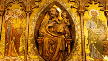 Statue chapelle saint joseph cathédrale notre dame de la treille lille