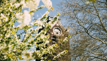 campanile printemps cathédrale notre dame de la treille lille 2498