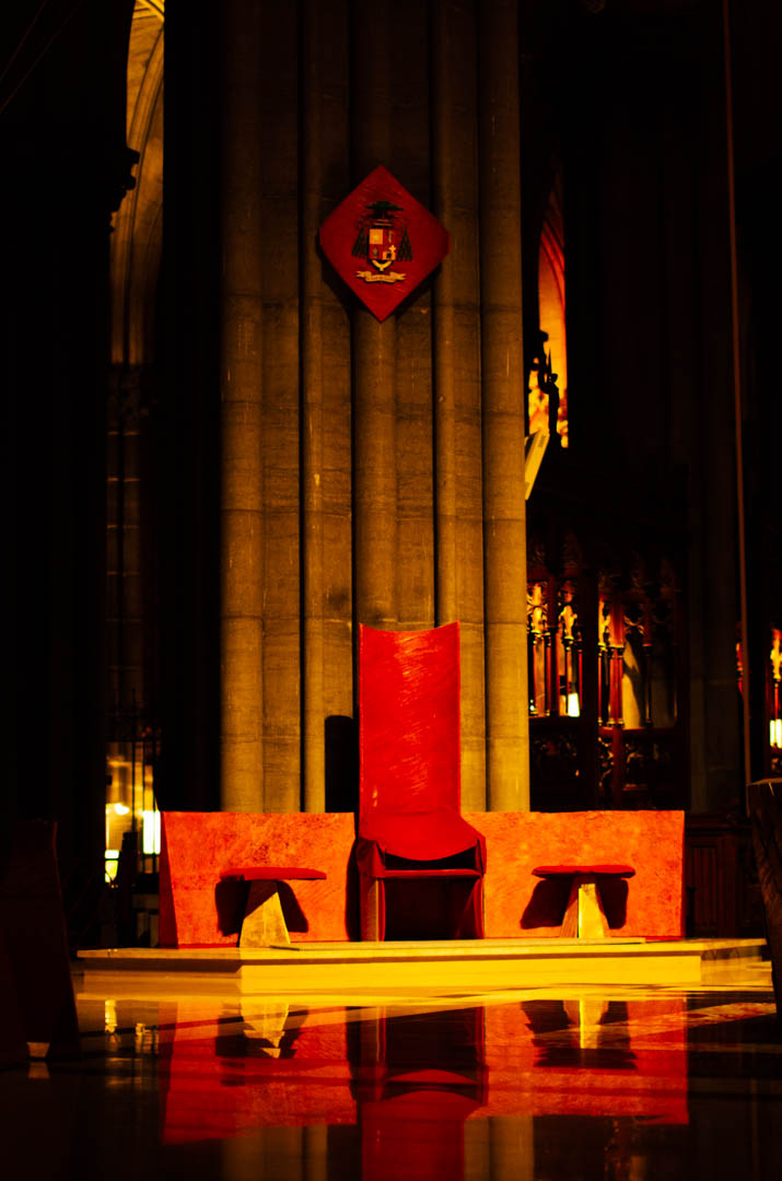 cathèdre cathédrale notre dame de la treille lille-6188