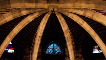 crypte néo gothique cathédrale notre dame de la treille lille 66198