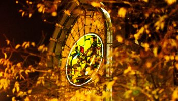 façade notre dame de la treille cathédrale lille 6223