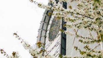 façade printemps cathédrale notre dame de la treille lille 2493