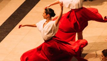 spectacle danse insolita cathédrale notre dame de la treille-7