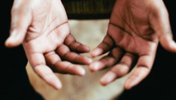 freely-73933-1920x650