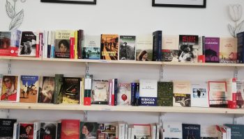 IMG_20240904_122959_resized_20240904_123423995