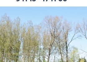 Pele Pro Santé 2024 détail 1