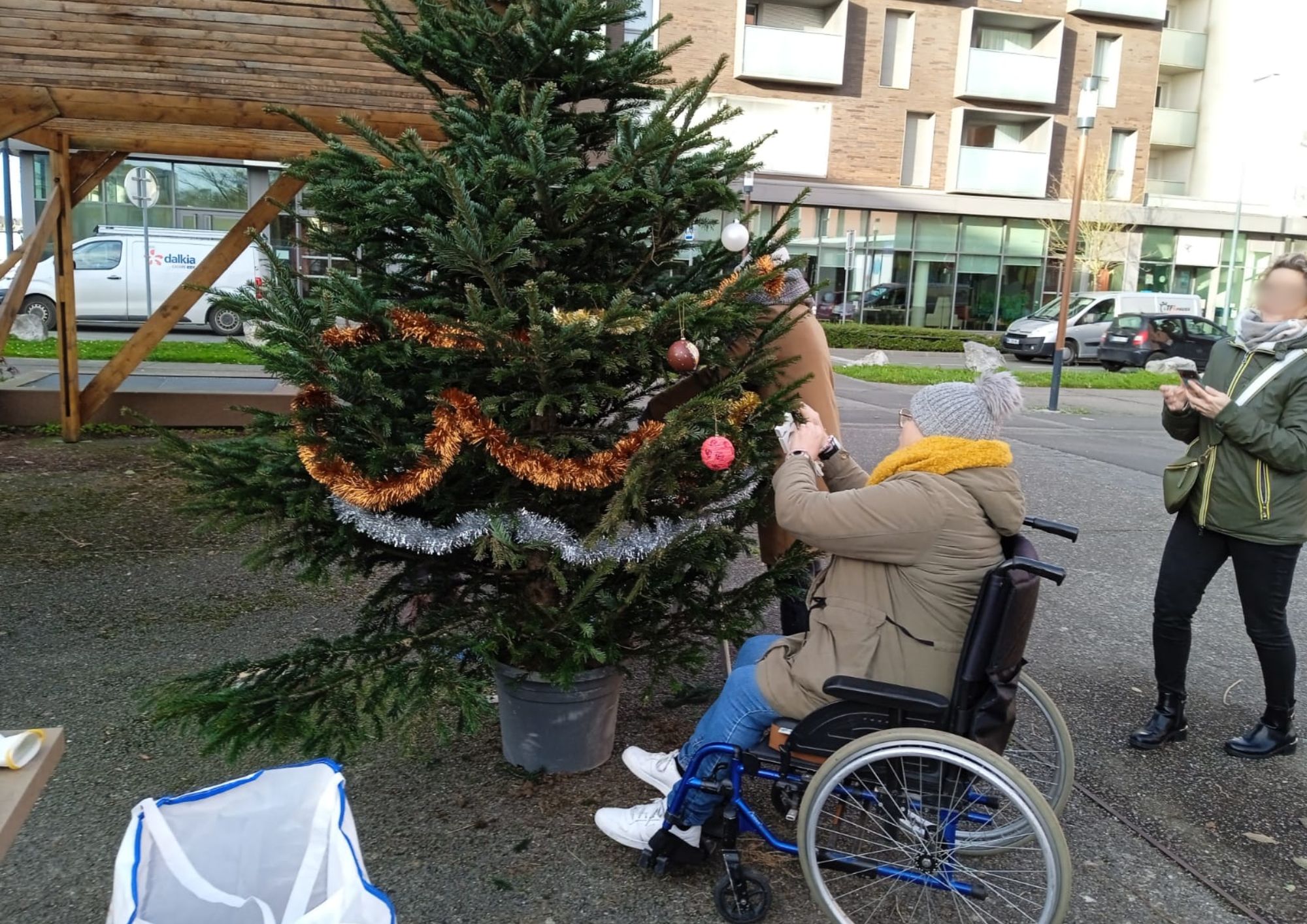 Sapin 1