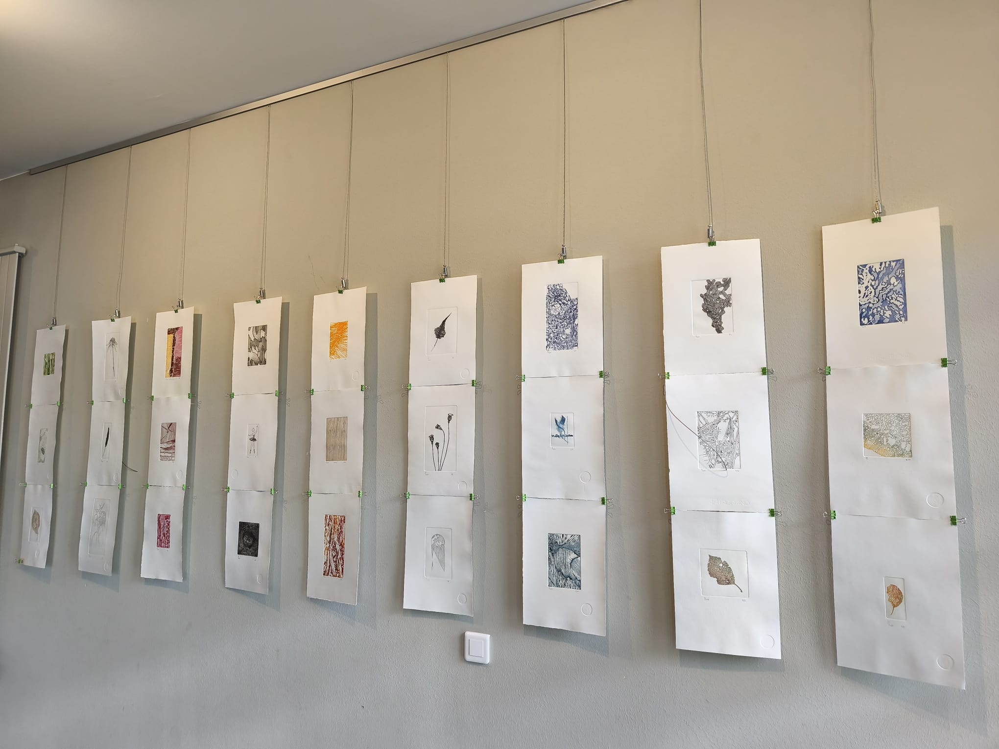Expo Genevieve DELIGNE mai 2025 03