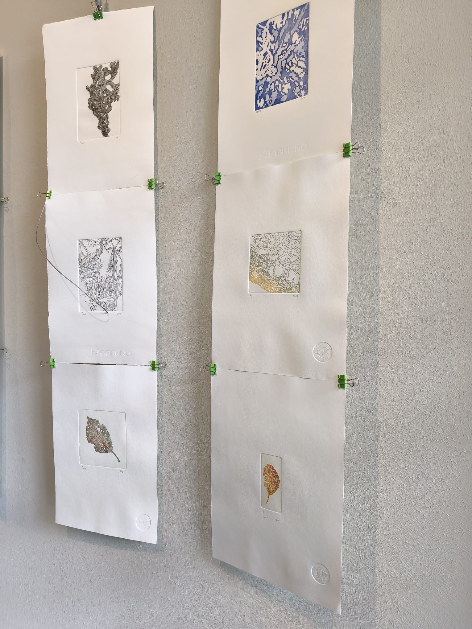 Expo Genevieve DELIGNE mai 2025 04