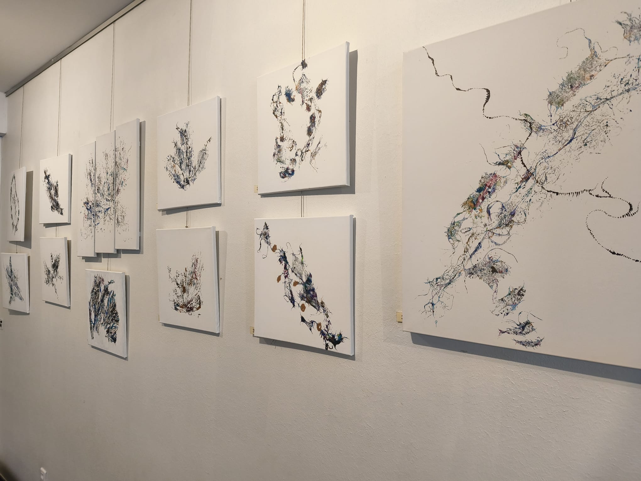 Expo Genevieve DELIGNE mai 2025 07