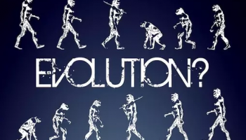 evolution
