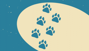 Copie de Laudato Si Dossier-2