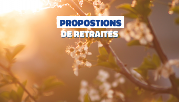 Couv article site-11