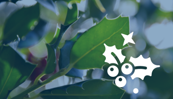 Chapeau article Christ On Lille-10