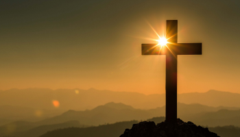 Couv article site SPUC