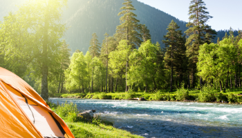 accueil_slider 1920×650 pixels ChristOnLille VAC