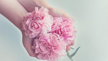 10_2022 pluie de roses sainte Thérèse