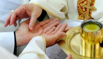 F3EDDCE1-A99B-488E-AFAC-1E91FB59ACA2