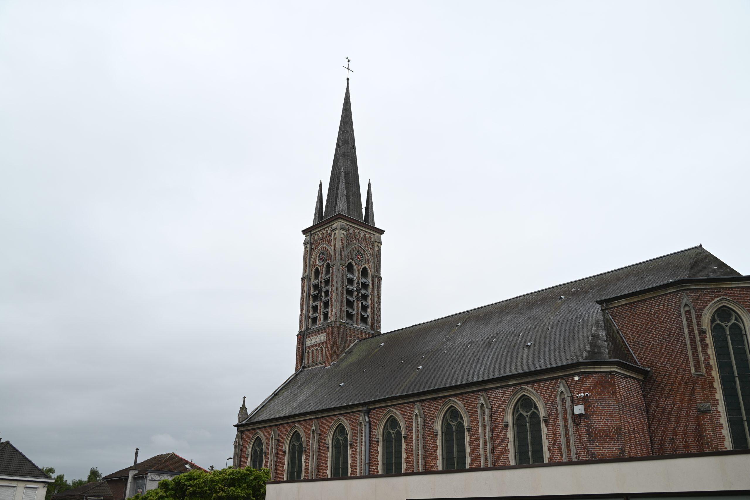 DSC_5653