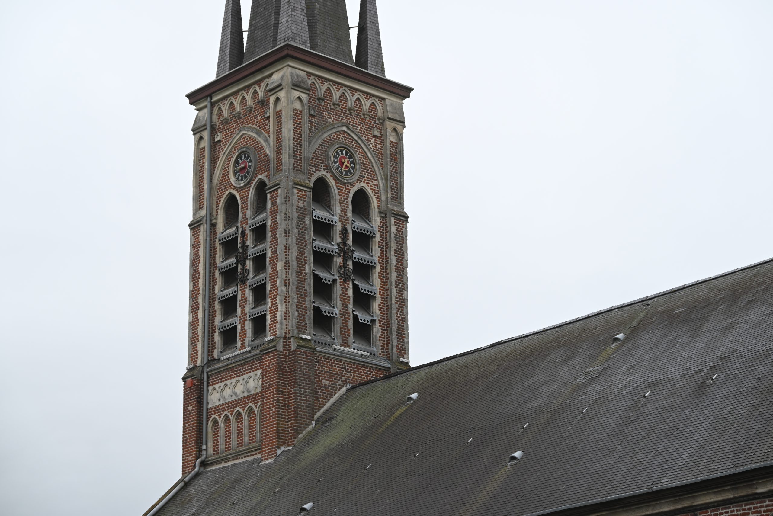 DSC_5654
