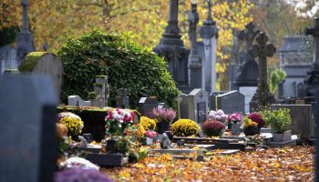 photo-allee-feuilles-2048x1366