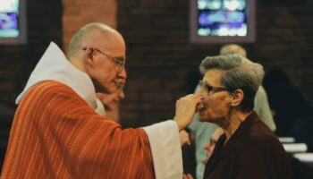 mateus-campos-felipe-p4vKKwSigdQ-unsplash-scaled