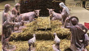 Afficher les photos récentes