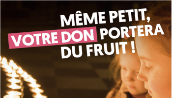 Capture-d’écran-2019-02-27-à-16.20.18