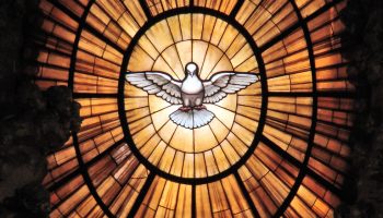 5994411193_0790dc574b_b